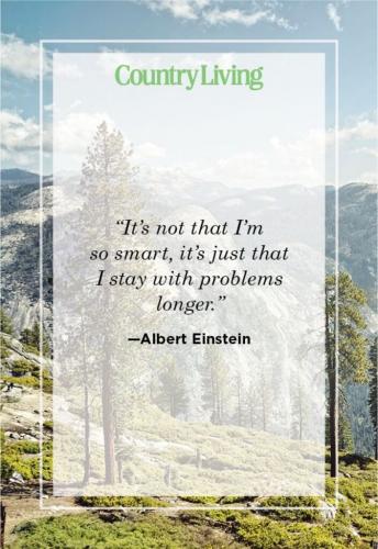 Albert Einstein -- Persistence