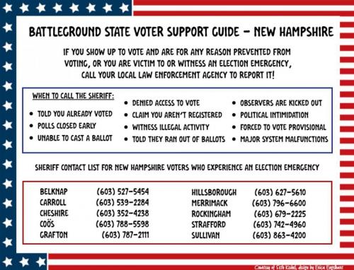 VOTER FRAUD NEW HA