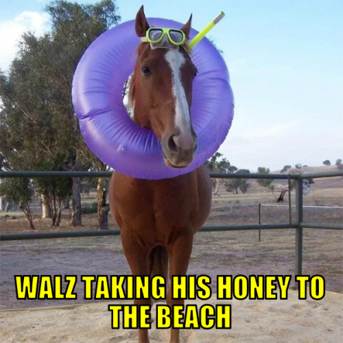 wthhttb