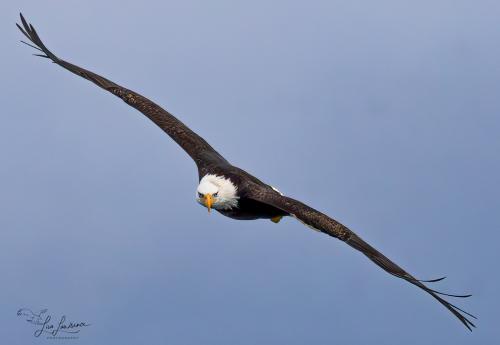 464788878_970519775092379_6399886766926465309_n