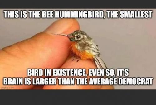 18b5f633-326c-4c2b-9e81-2b4b4932f5b1