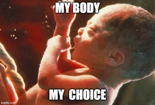 Abortion -- Baby says 'My Body, My Choice'