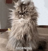 wake-up-morning