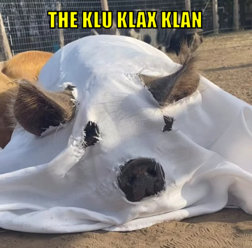 tkkk
