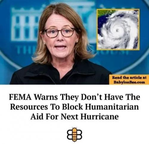1000036336