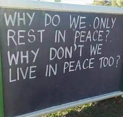 FB_IMG_1728620277357