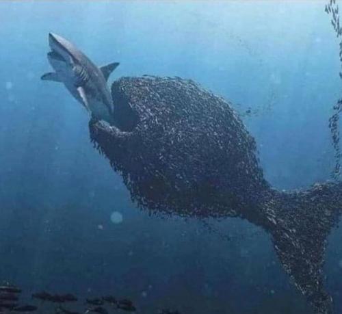 photo_2022-11-13_18-48-52