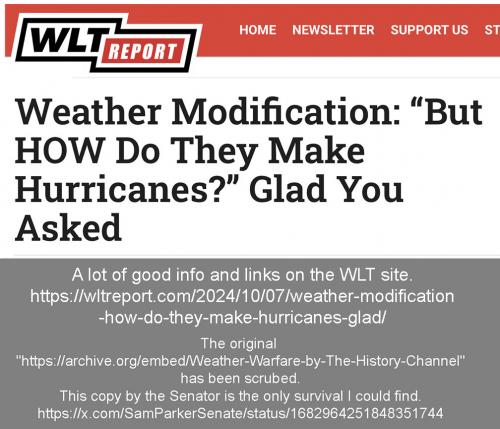WLT report