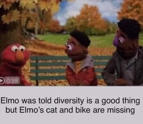 dversity