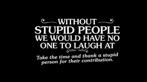 Without stupid people.568px