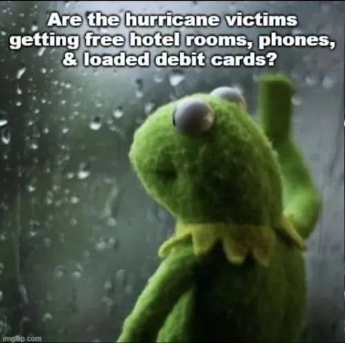 1000032972