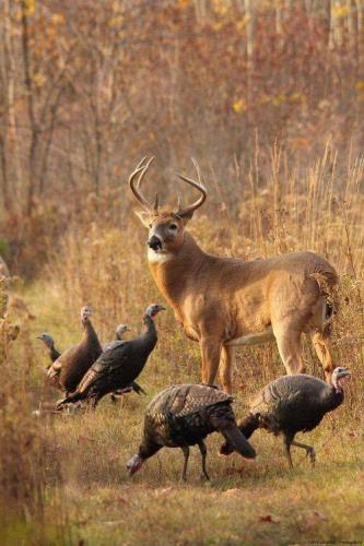 463924310_958542596313977_8949161965897734833_n