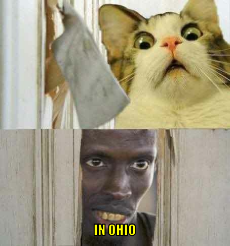 io