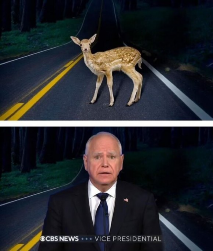 JD Vance, Tim Walz Debate, Deer in the Road, Car Lights