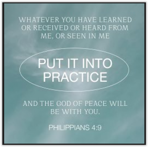 Screen Shot 10-17-24 at 04.28 AM