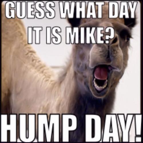 Happy Hump Day 2