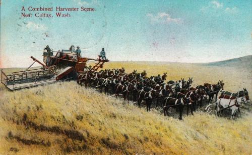 Ea;y years harvesting Colfax