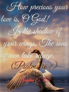 101924 - How precious Your love. Ps 36-7