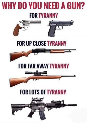 why need gun