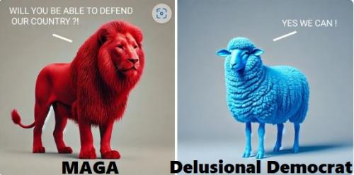 MagaVsLamb