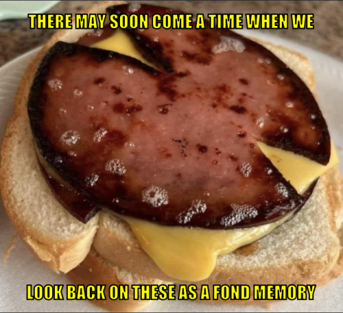 tmscatwwlbotifm