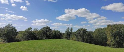 IMG_20240821_162150