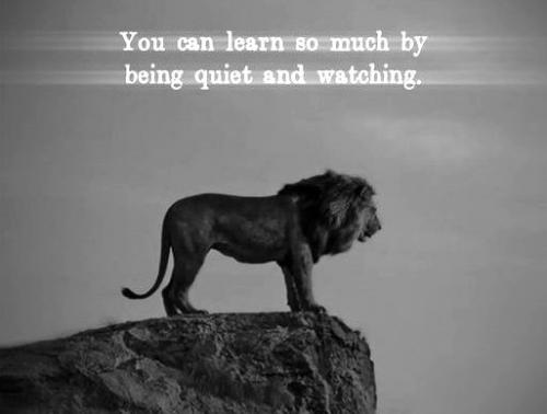 103024 - Learn so much