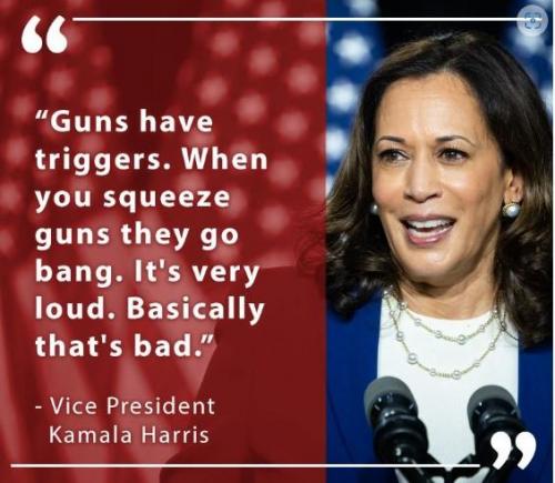 kamala's gun