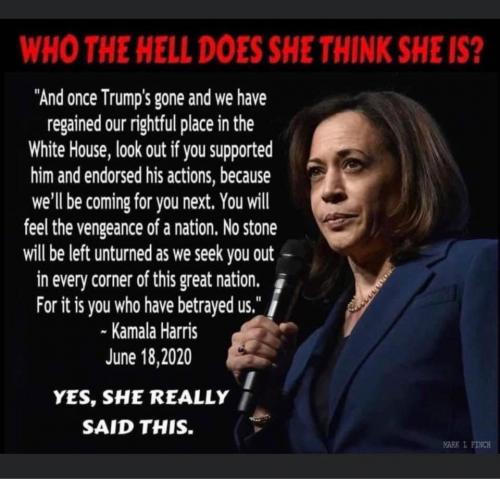 kamala's promise