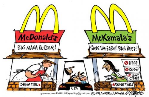 102124_McDonaldsMcKamalas_COLOR