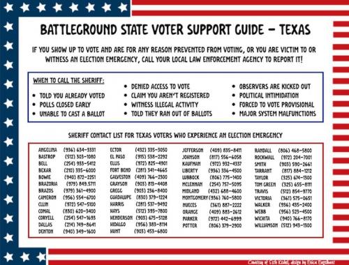 VOTER FRAUD REPORT