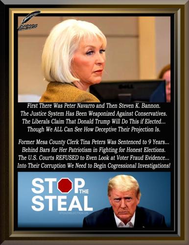 Tina Peters ~Former Mesa County Clerk~ 2