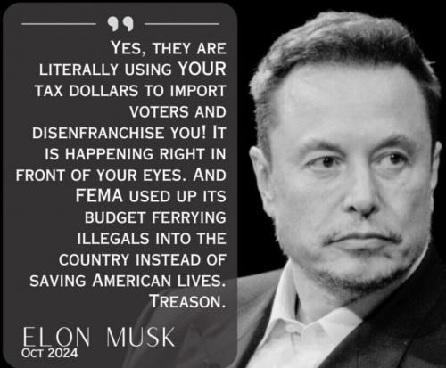 Musk Gov treason