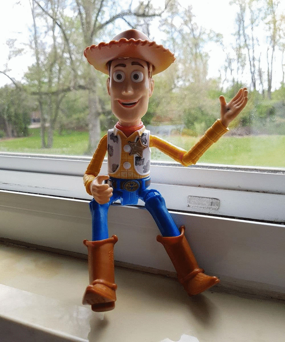 LifeOfCowBoyWoody_muctim