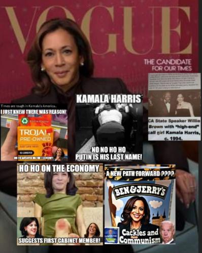 bidenhohovogue2