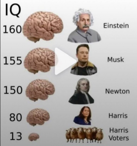 1000037712