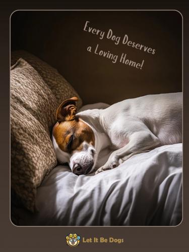 462763495_122122745354398715_1069200145550406015_n