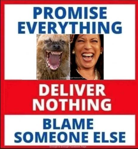 PROMIS EVERYTHING  GETTR