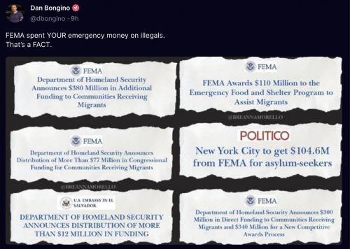 D B FEMA illegal