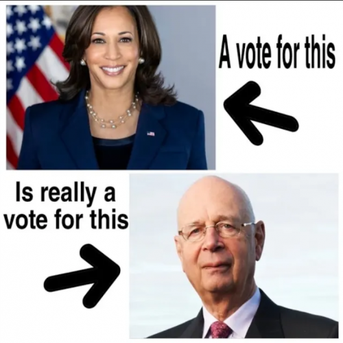 1000015995