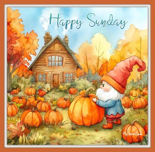 462193569_931225122367198_4789869074507725878_n