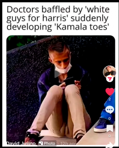 White Guys For Harris