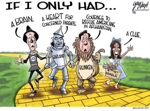 Cartoon - Democrats - If I only had a ...