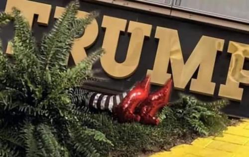 FB_IMG_1731710710554