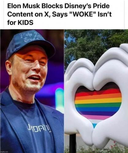 Elon Musk blocks disney.960px