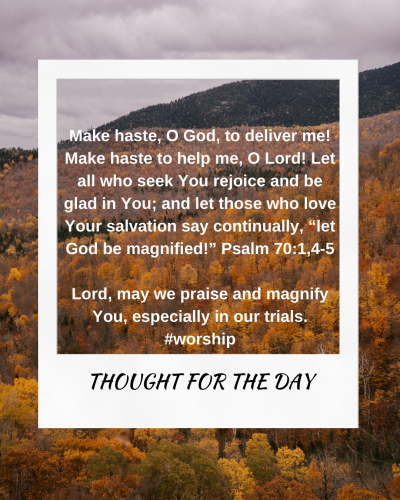 TWEET 11-20-24