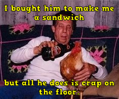 ibhtmmasbahdicotf