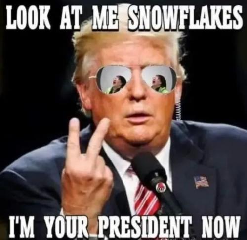 1000049604