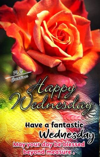 112724 - GM Wednesday Rose