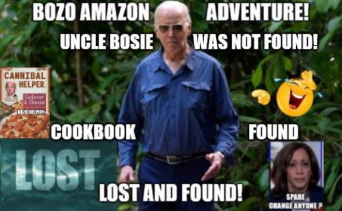 BIDENBOZOADVENTUREINCOOKING